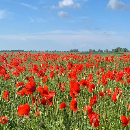 Ferienwohnungen Klein Kapelle Gingst Екстериор снимка